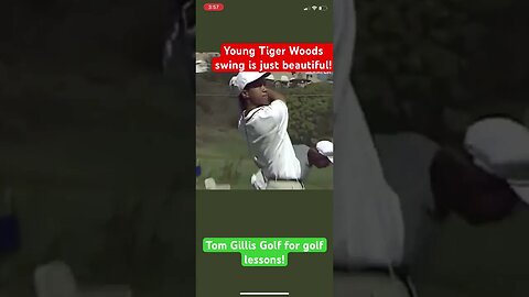 Young Tiger Woods swing is just beautiful! #tigerwoods #golf #tomgillisgolf