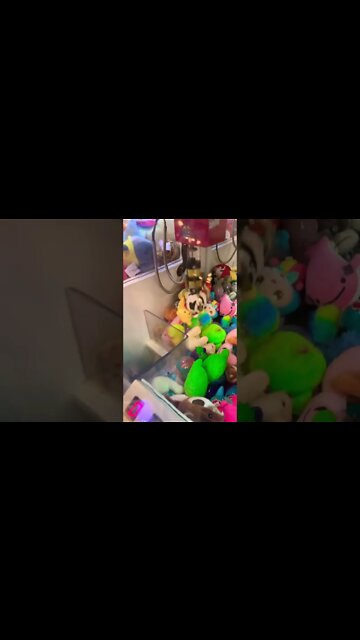 DOIS DE UMA SÓ VEZ #shorts #vidademúsico #paidemenina @Luna Voadora