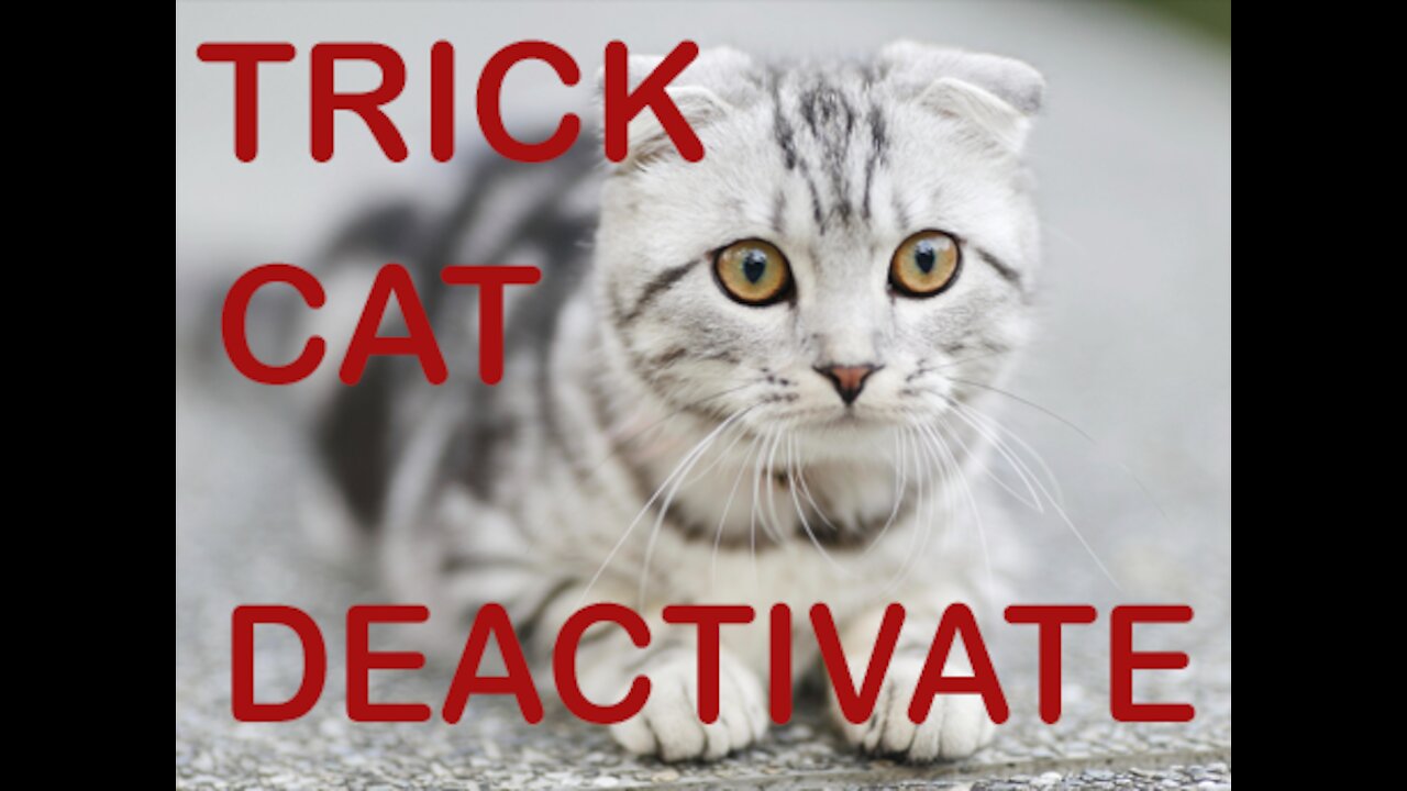 Trick to Deactivate a Cat