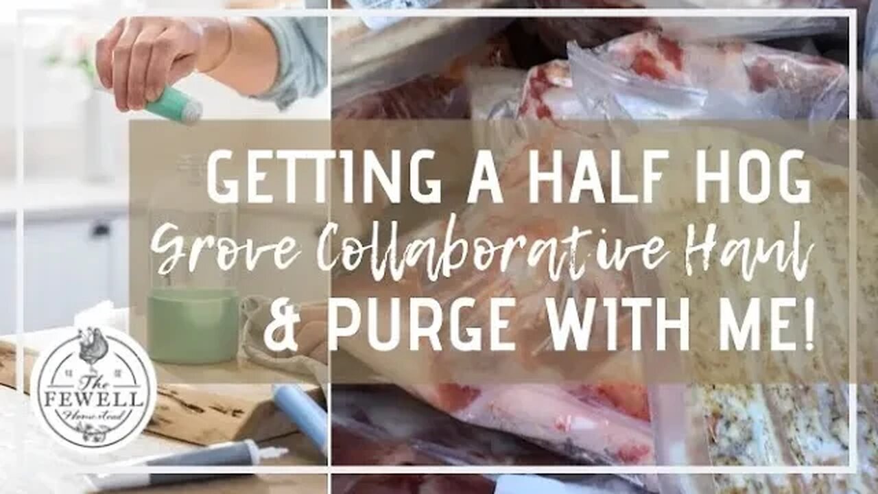 DITL | Half a Hog | Grove Collaborative Haul | Purge With Me