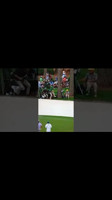 Falling Tree Almost Hits Spectators at The Masters