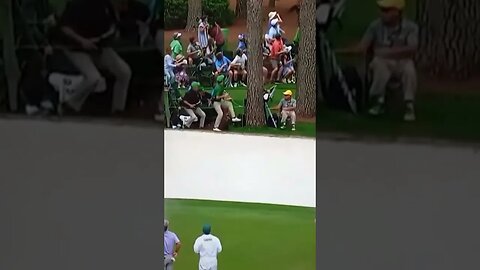 Falling Tree Almost Hits Spectators at The Masters