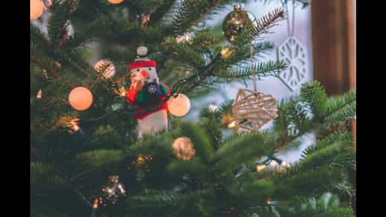 Une fillette fait tomber le sapin pour atteindre l'étoile