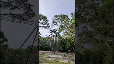 Would you ever try this