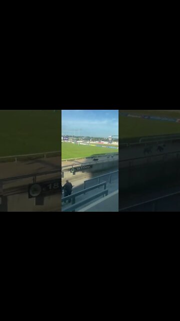 Greyhound Racing ~ Ireland