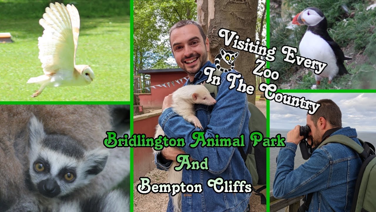 Bridlington Animal Park, Bempton Cliffs and Puffins!!!