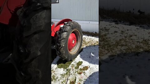 Farmall C and a Massey Ferguson: two nice units.