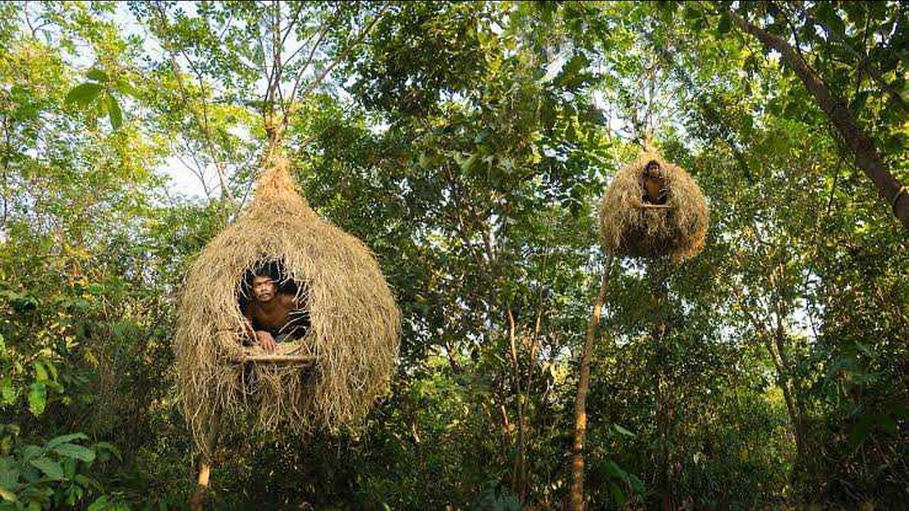 Building bird nest tree house