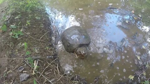 I want my hook back bro