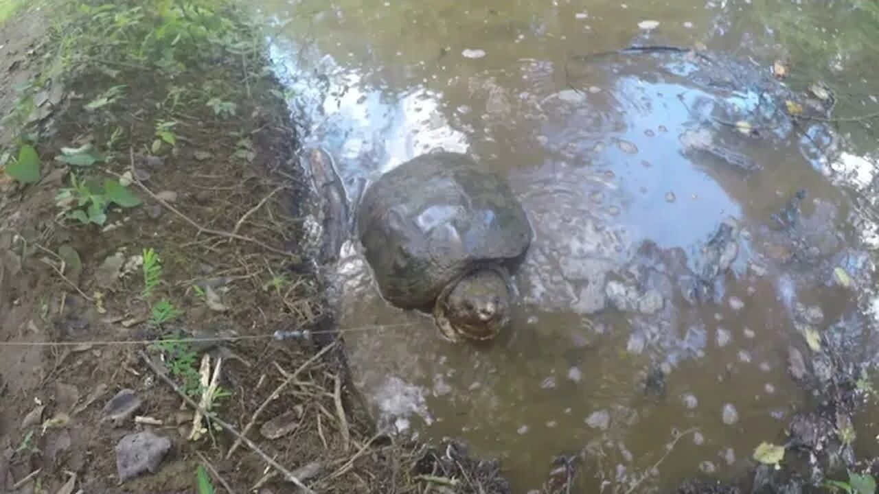 I want my hook back bro