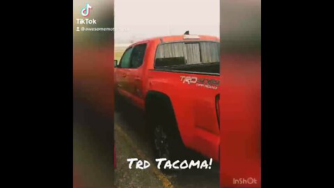 TRD Tacoma