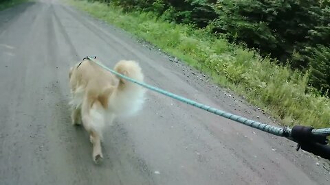 July 12th, 64º, go South young pup