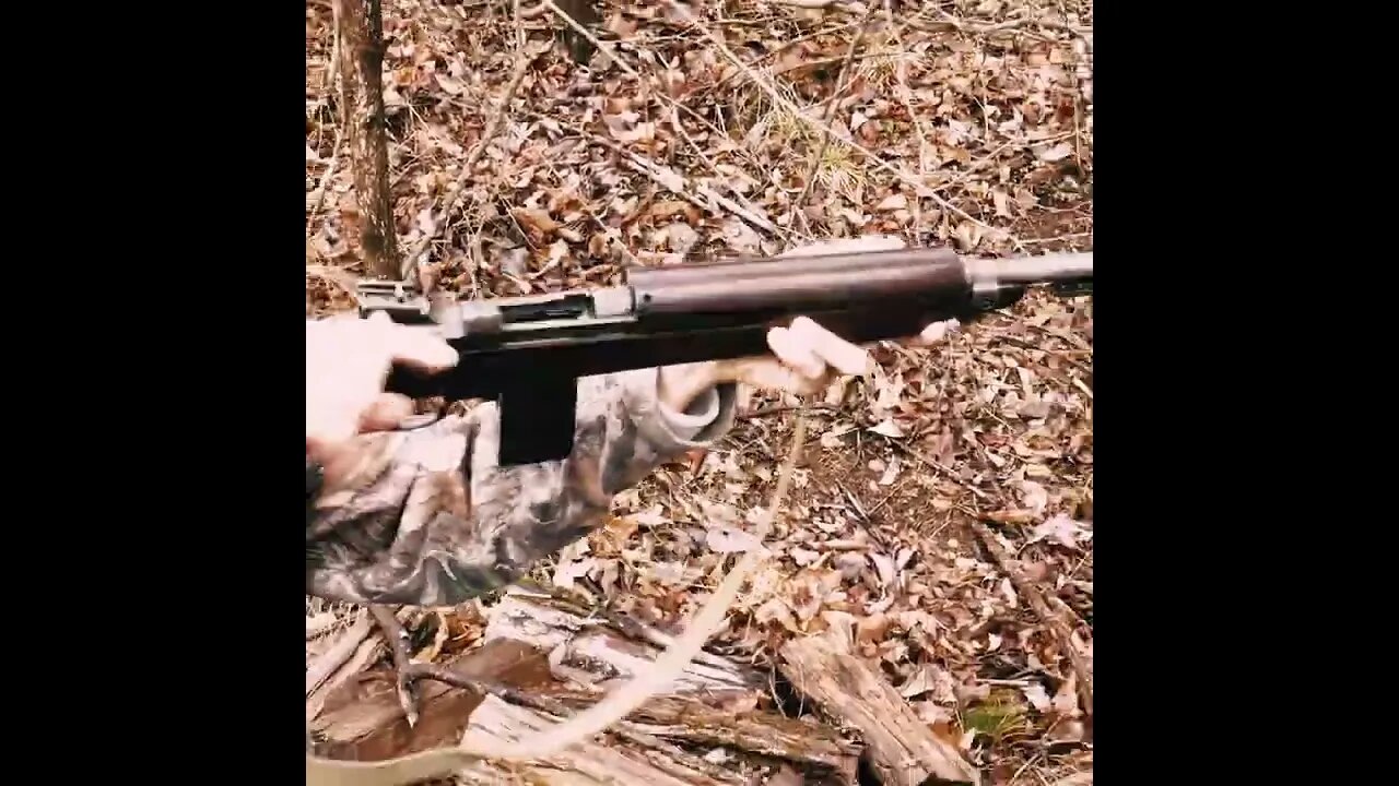 m1 Carbine