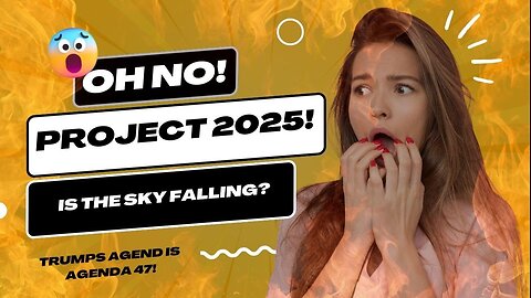 PROJECT 2025: WHAT IS THE HYSTERIA?