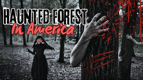 Into the Shadows: Exploring the Haunted Forest