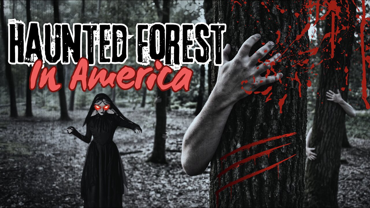 Into the Shadows: Exploring the Haunted Forest