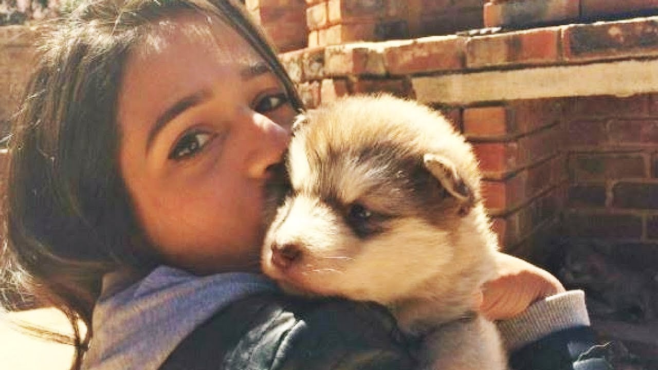 Woman Adopts A Tiny Dog But Is Stunned At What It Grows Up To Be