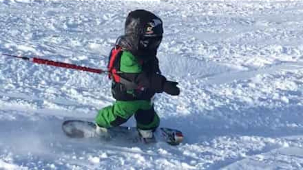 Treårig snowboarder som en professionel