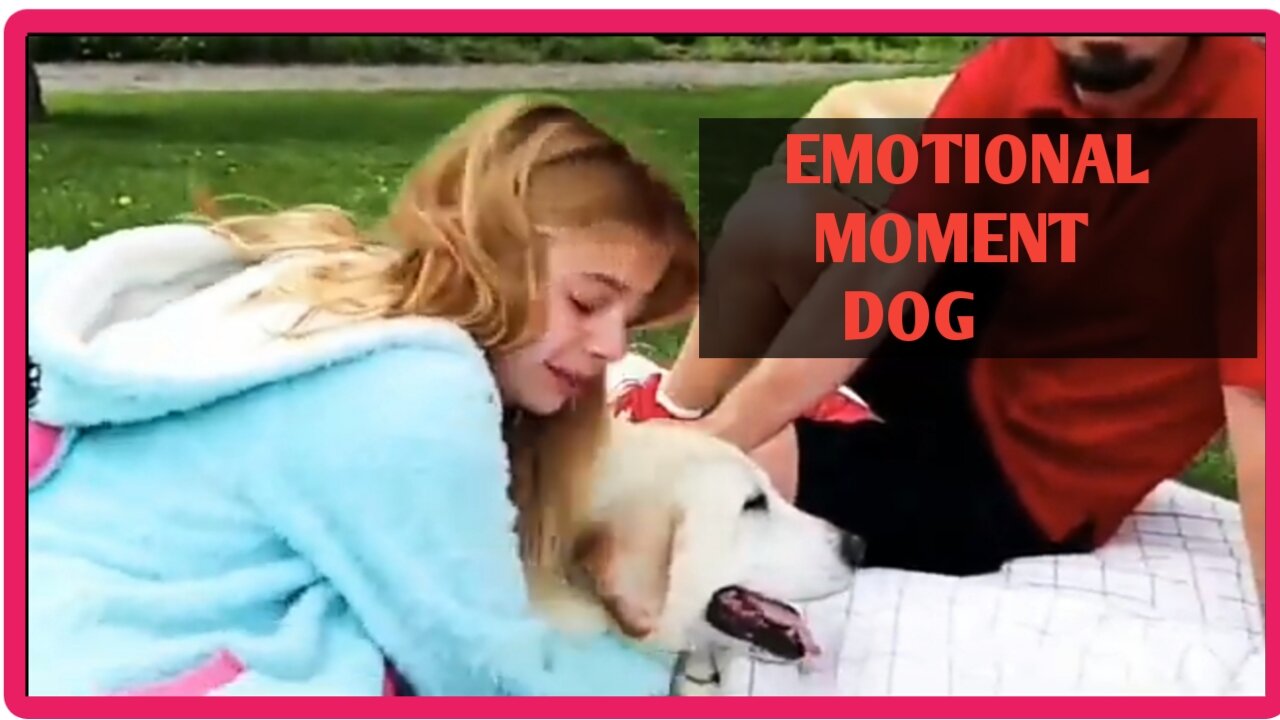 Emotional moment dog