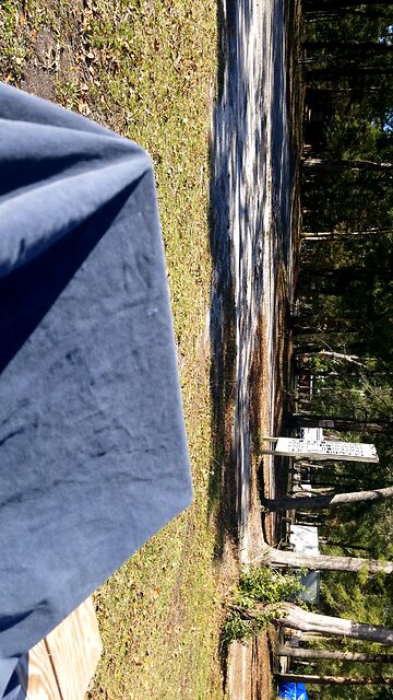 no wifi trying phone