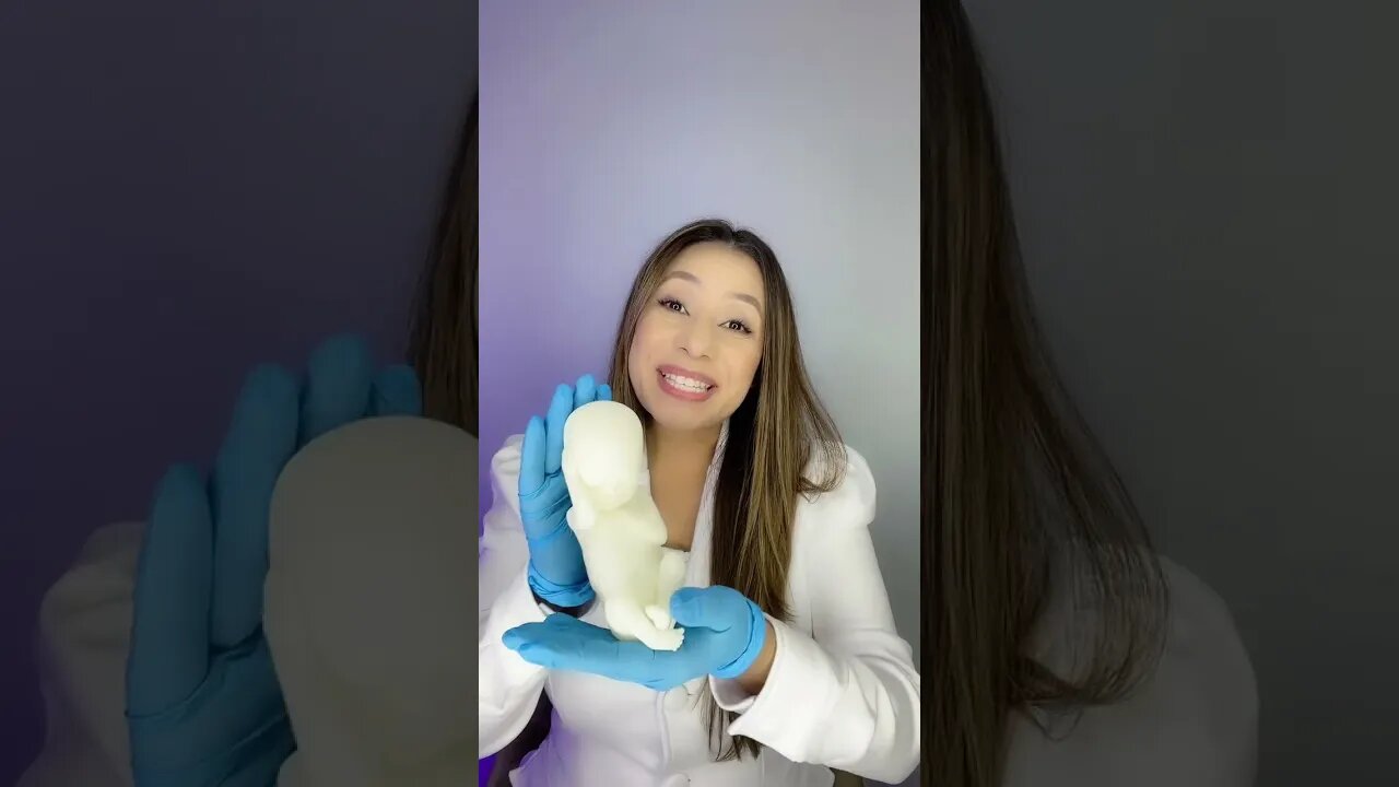 17 a 21 Semanas de gestação