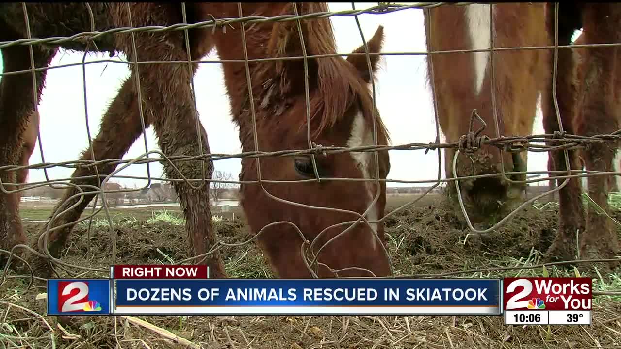 Dozens of animals rescued in Skiatook