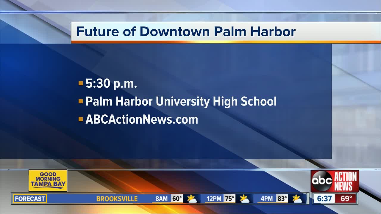 Pinellas Co. to address downtown Palm Harbor roundabout