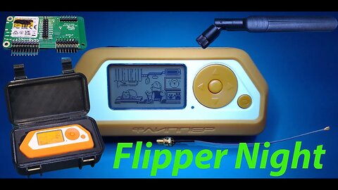 Flipper Mod's New Year's