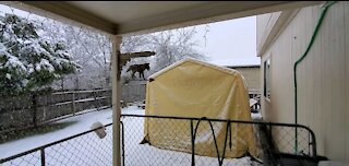 Winter snow in Central texas