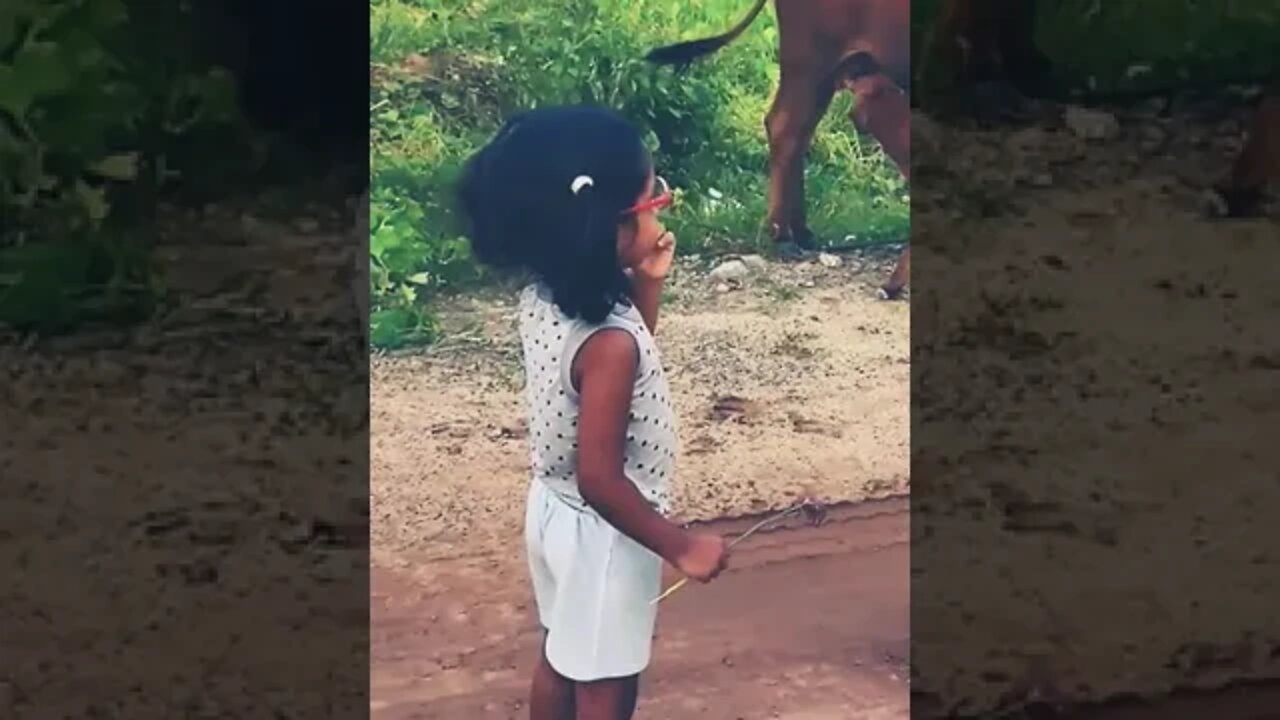 kiyara seeing cow ammi feeding her little calf