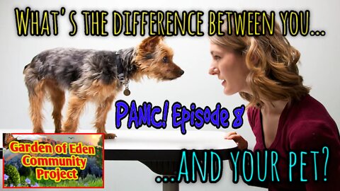 GOE Panic! E8: Will YOU Survive the Collapse of Globalism? (or will they win?)