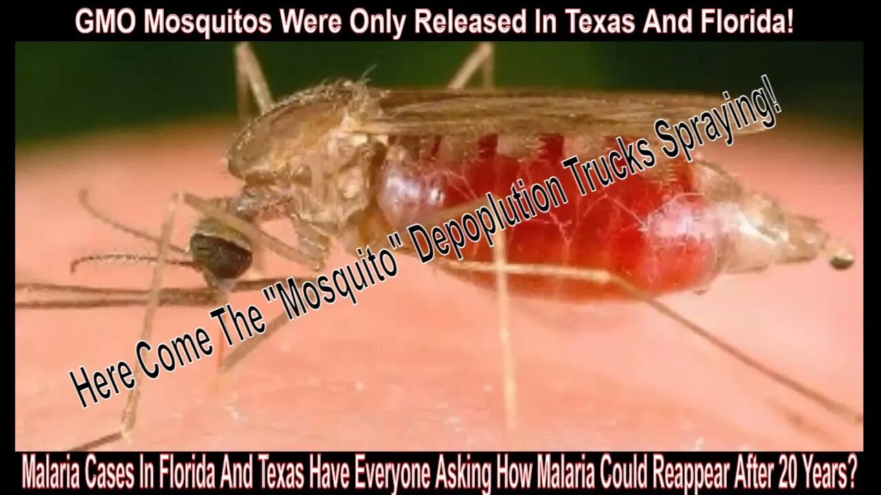 Malaria Cases In Florida And Texas Have Everyone Asking How Malaria Could Reappear After 20 Years?