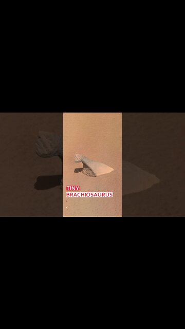 Scary facts about Mars.😱✴👽#mars #shorts