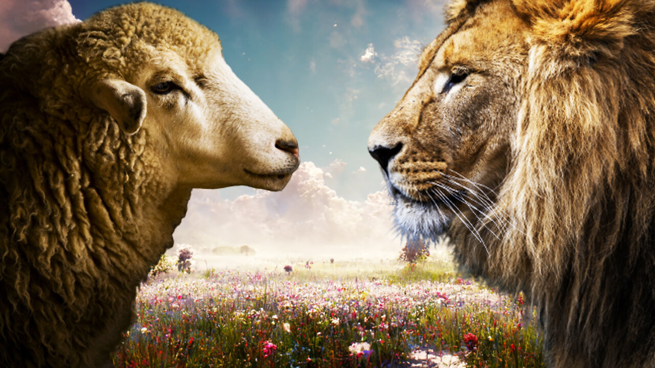 INTERVIEW: God is Turning Sheep Into Lions