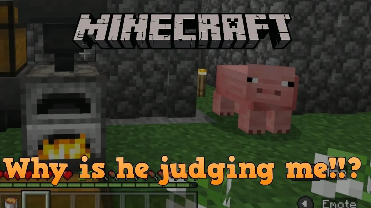 Getting judged by a pig while showing how to build an auto furnace