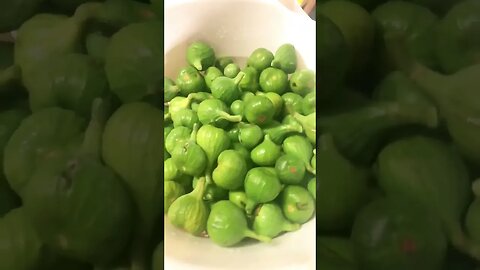Super Excited for MORE 🍯 Fig Jam🫙#shorts #viral ##tiktok #garden