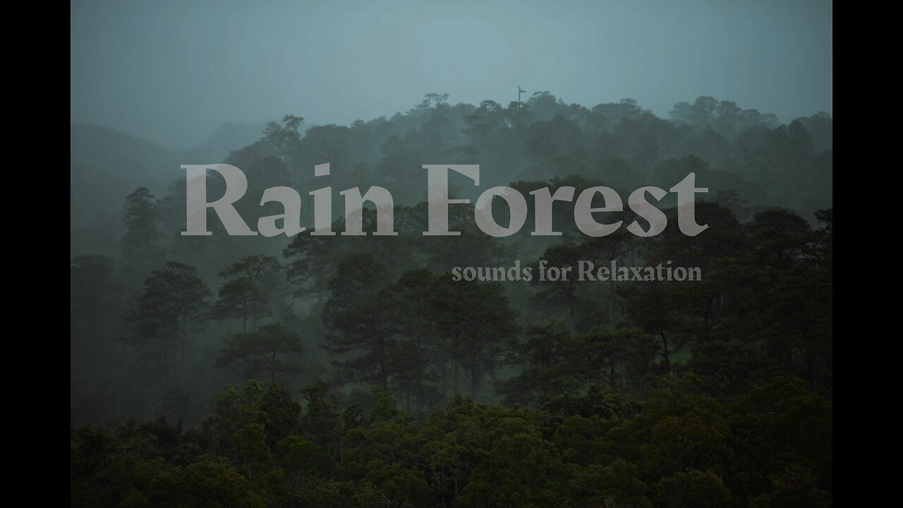 Rainforest camping night in light rain | Relax | sounds for sleep