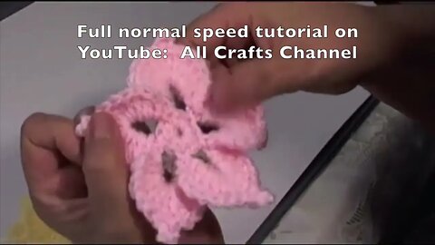 Crochet All Occasion Flower with either 5 to 6 petals