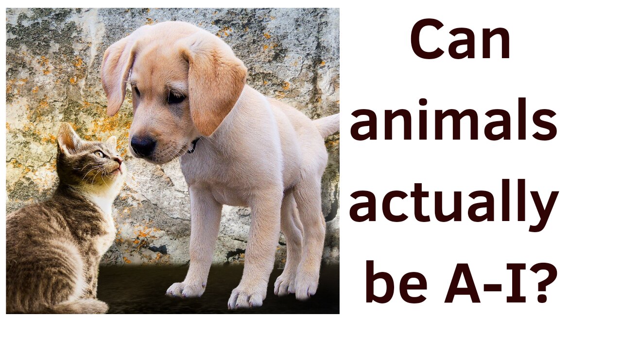Tarot Investigation: Are there actually animals that are A-I?