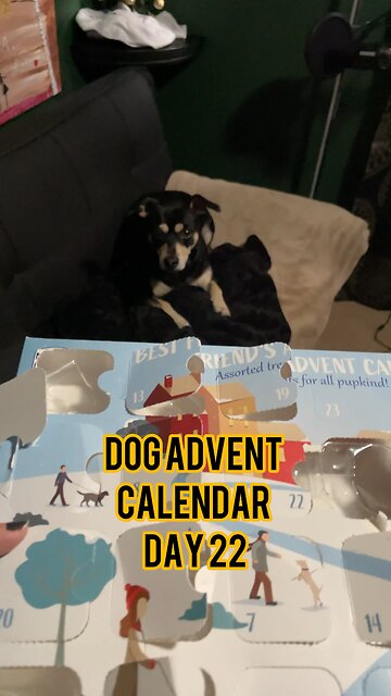 Himalayan Dog Chew 24 Joyful Days Dog Advent Calendar Day 22