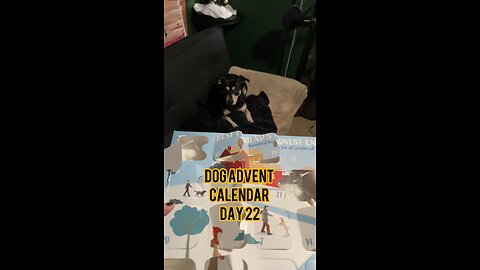 Himalayan Dog Chew 24 Joyful Days Dog Advent Calendar Day 22