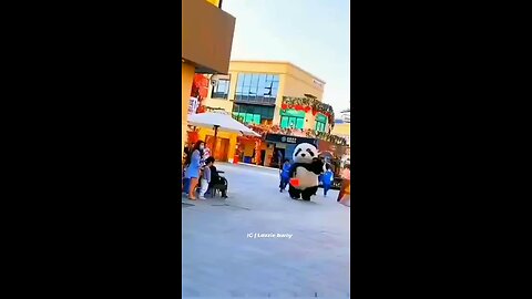 cute panda