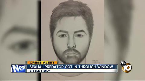 Sexual predator gets in through window