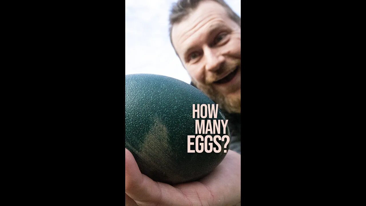 How many Emu Eggs are there?