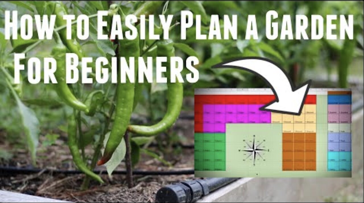 How To Plan A Vegetable Garden - Layout, Schedule & Calendar - Ultimate Guide When to Start Seeds