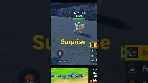 Unexpected Surprise