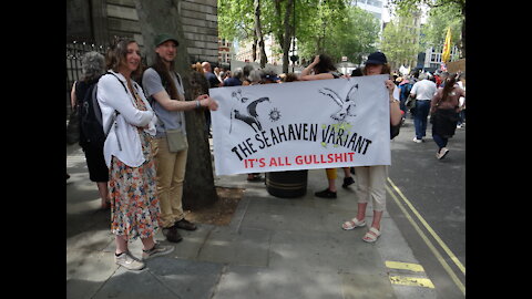 London Lockdown Protest 29th May 2021: Part 6 - It's all Gullshit