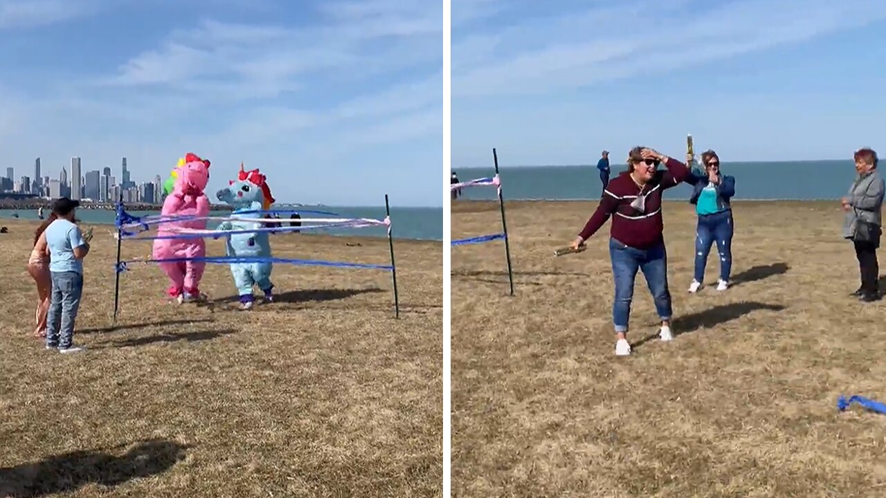 Unicorns race each other to gender reveal finish line