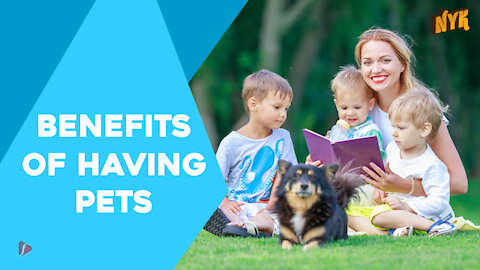 Top 4 Benefits Of Having A Pet