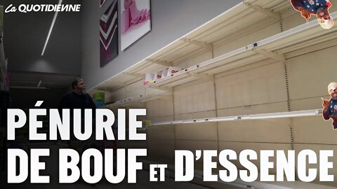 PENURIE ALIMENTAIRE ET D'ESSENCE DIEUDONNE EN PARLE #tpmp #humour #bigard #crise #poutine